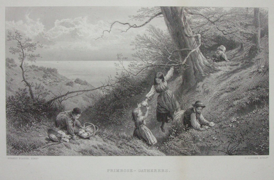 Print - Primrose - Gatherers - Cousen